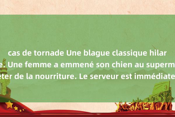 cas de tornade Une blague classique hilarante et embarrassante. Une femme a emmené son chien au supermarché pour acheter de la nourriture. Le serveur est immédiatement venu l&#39;en dissuader !